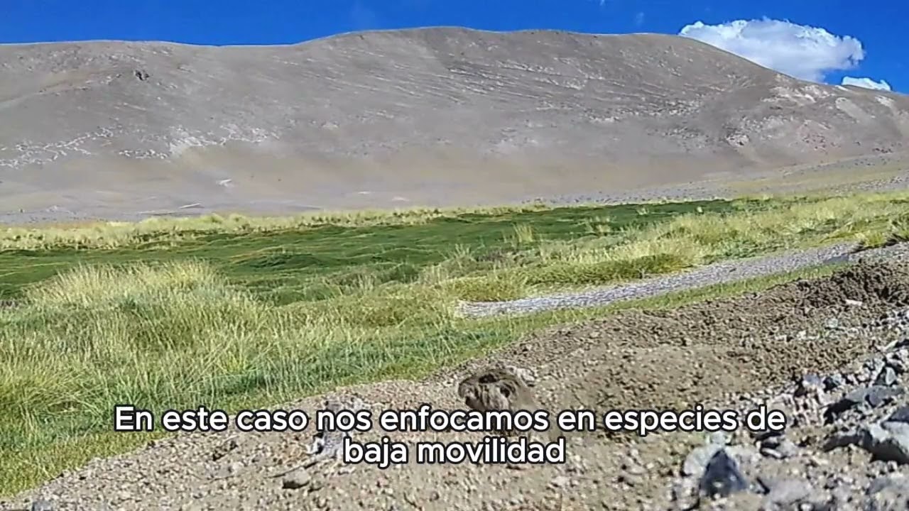 CAEM -  Proyectos finalistas del Primer Concurso de Gestión de la Biodiversidad